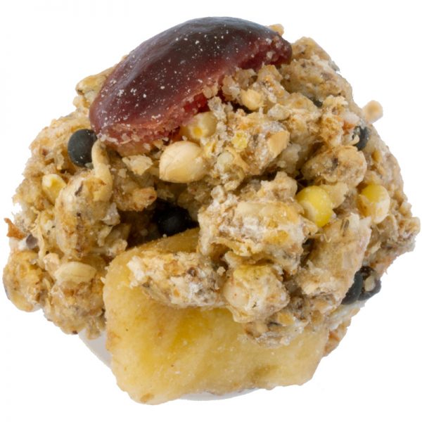 Lafeber's Rascally Rat Nutri-Berries
