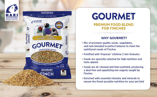 Gourmet Premium Seed Mix - Finch 🍁