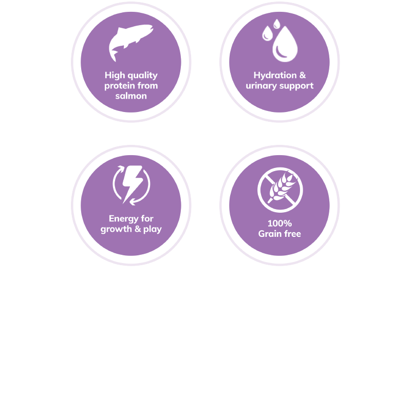 Wellness Complete Health Grain Free Gravies Salmon Dinner Wet Cat Food
