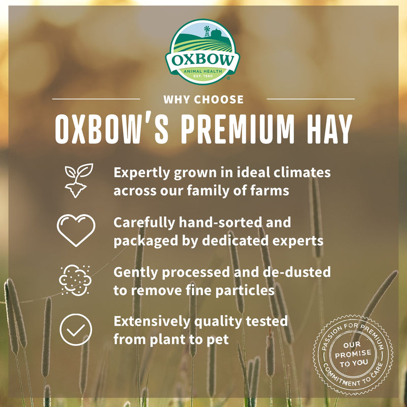 Oxbow Timothy Western Hay & Orchard Grass Hay Blend
