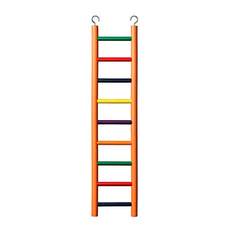 Prevue Hendryx Carpenter Creations Ladder - Exotic Wings and Pet Things