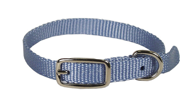 Hamilton Single Thick Nylon Collar w Buckle - Sherbet Series 3/8