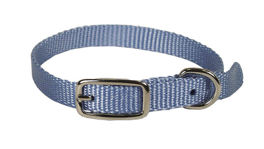 Hamilton Single Thick Nylon Collar w Buckle - Sherbet Series 3/8" (10-14"L)