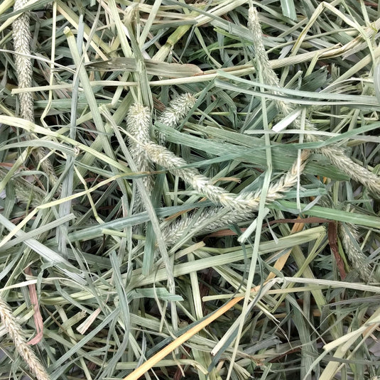 Oxbow Timothy Western Hay & Orchard Grass Hay Blend