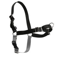 PetSafe Easy Walk Harness Black