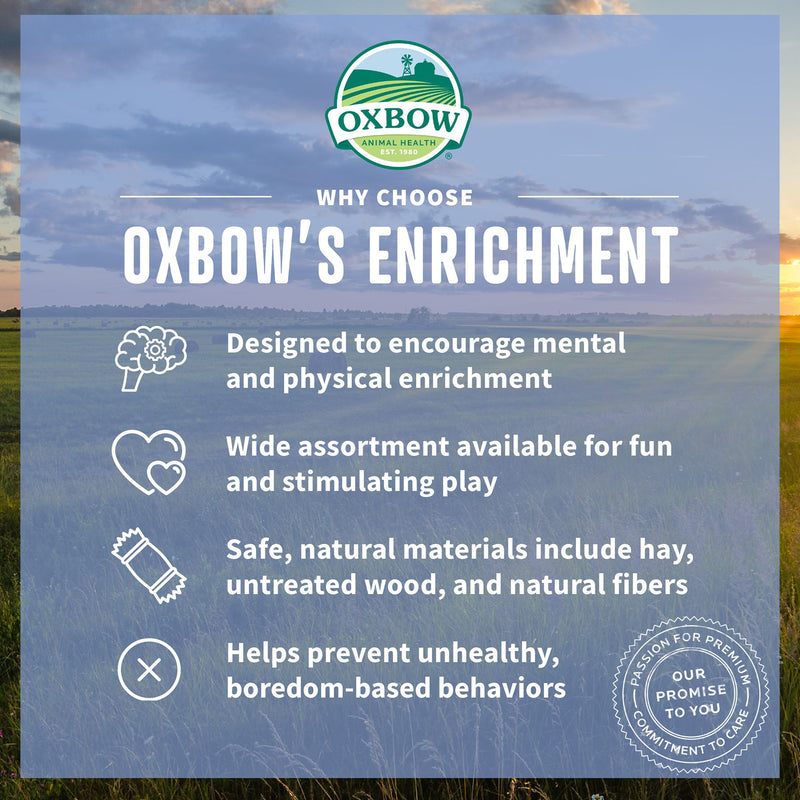 Oxbow Enriched Life Colourful Woven Dangly
