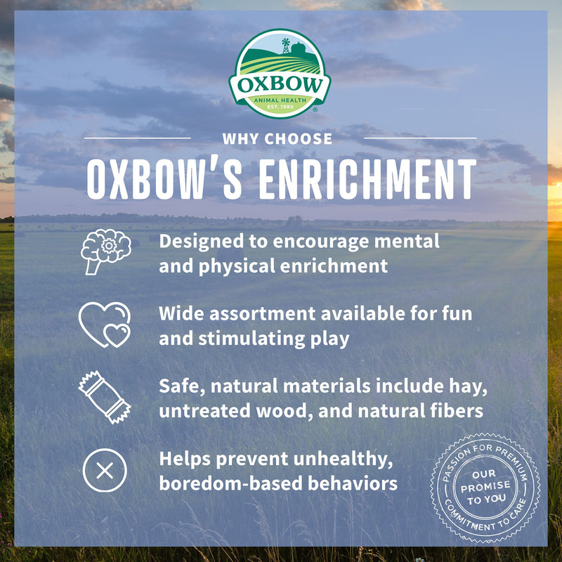 Oxbow Enriched Life 2 in 1 Fitness Ball
