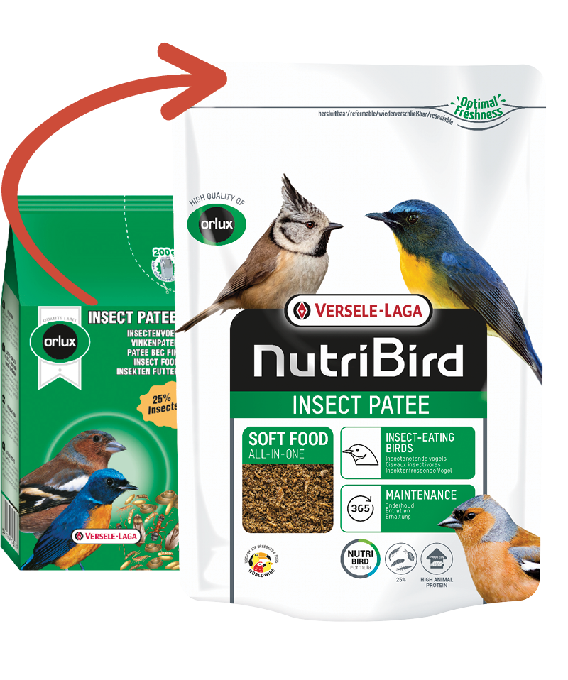 NutriBird Insect Patee - Complete feed for all insect-eating birds
