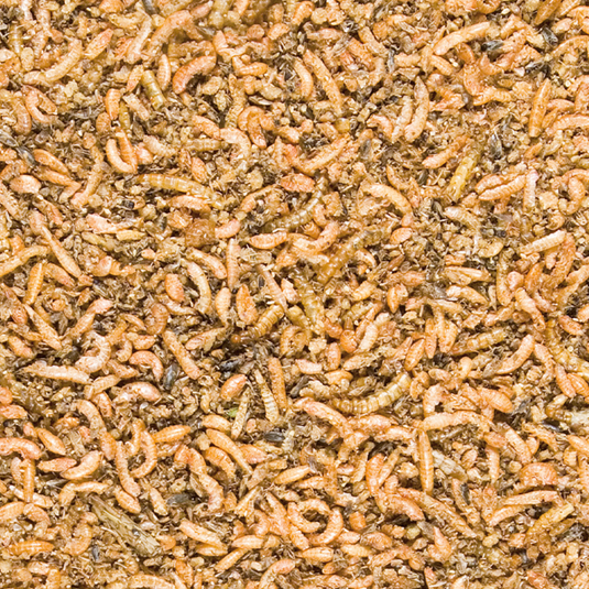 Versele-Laga Menu Nature Insect Mix Treat