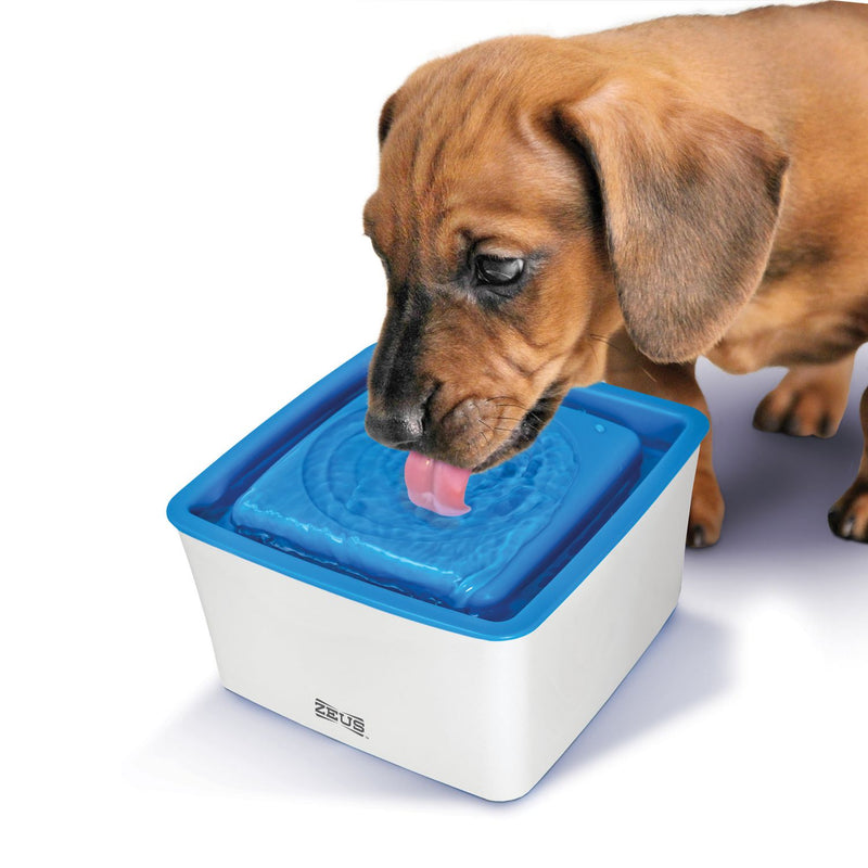 Zeus Mini Drinking Fountain for Dogs - 1.5 L (50.7 fl oz) - Exotic Wings and Pet Things