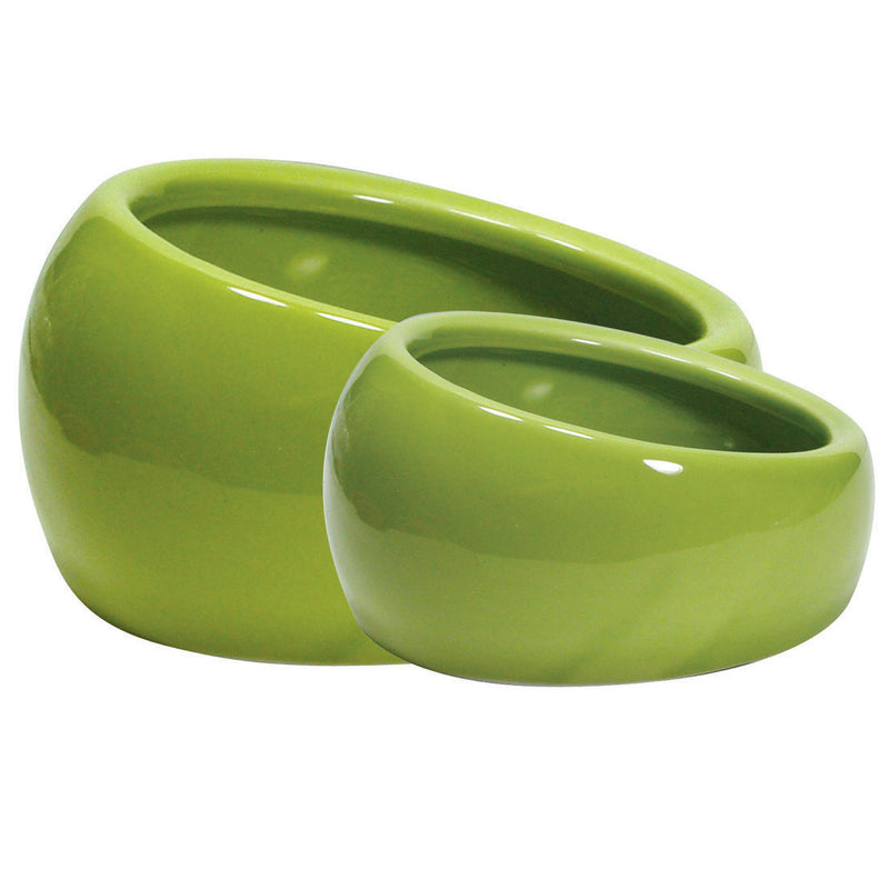 #Color_Ergo Dish Green
