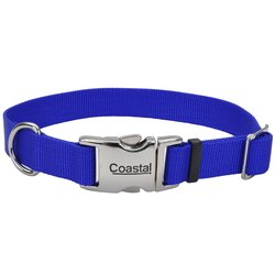 Adjustable Dog Collar with Metal Buckle