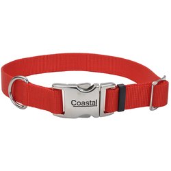 Adjustable Dog Collar with Metal Buckle
