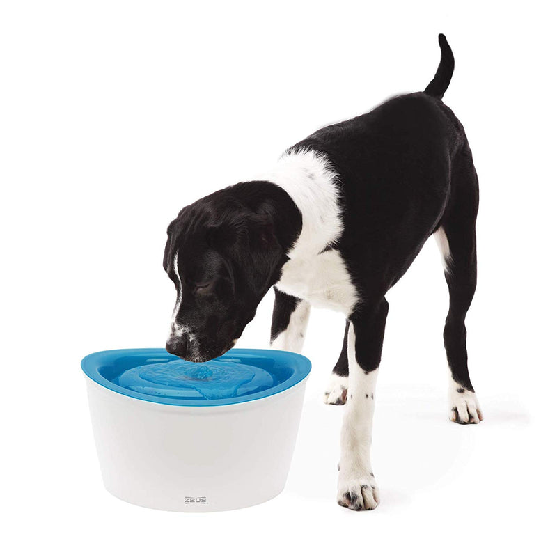 Zeus H2EAU Dog Drinking Fountain - 6 L (200 fl oz) - Exotic Wings and Pet Things