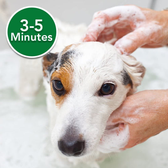 VET S BEST Oatmeal Medicated Shampoo 16oz