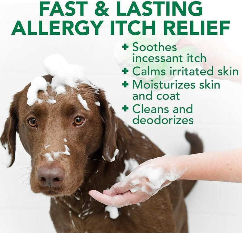 Allergy Itch Relief Dog Shampoo
