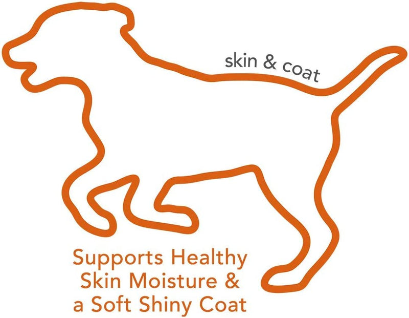 Skin & Coat Dog Soft Chews
