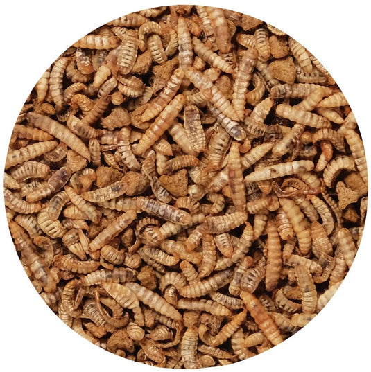 Living World Green Gourmet Toppers Small Pet - Insects - 65366