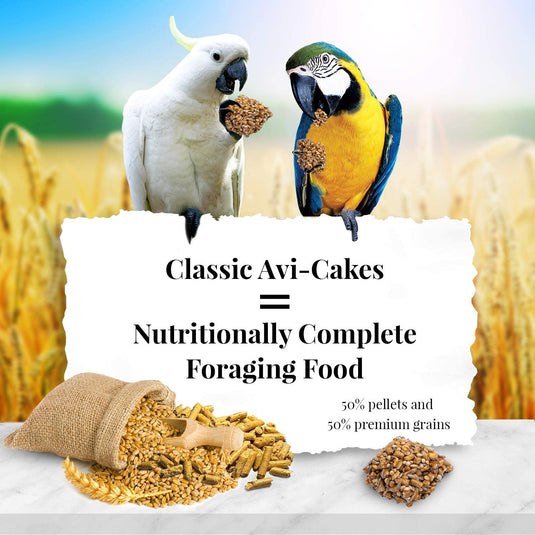 Lafeber's Classic Avi-Cakes Macaw/Cockatoo