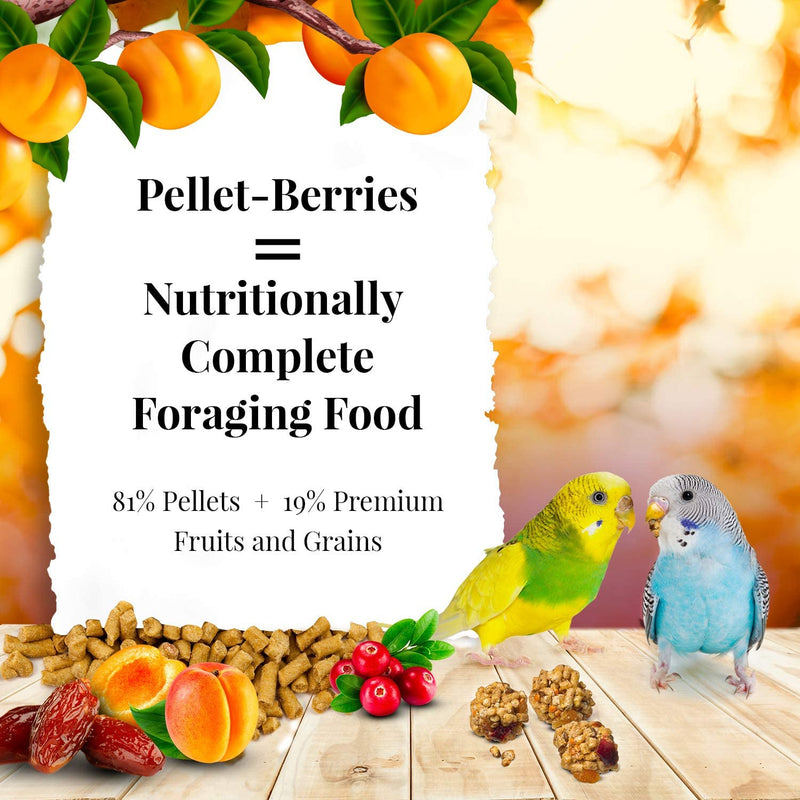 Lafeber's Sunny Orchard Pellet-Berries Parakeet
