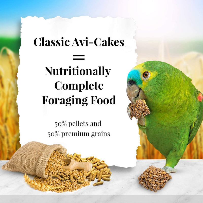 Lafeber's Classic Avi-Cakes for Parrots 12oz - Exotic Wings and Pet Things