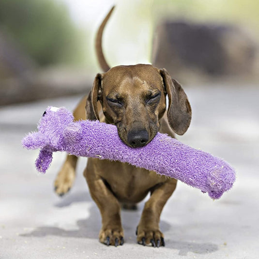 Multipet Loofa Dog Toy Assorted