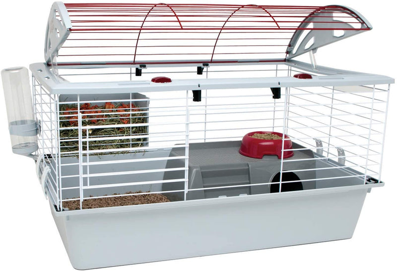 Living World Deluxe Guinea Pig/Adult Degu Starter Kit - 61795
