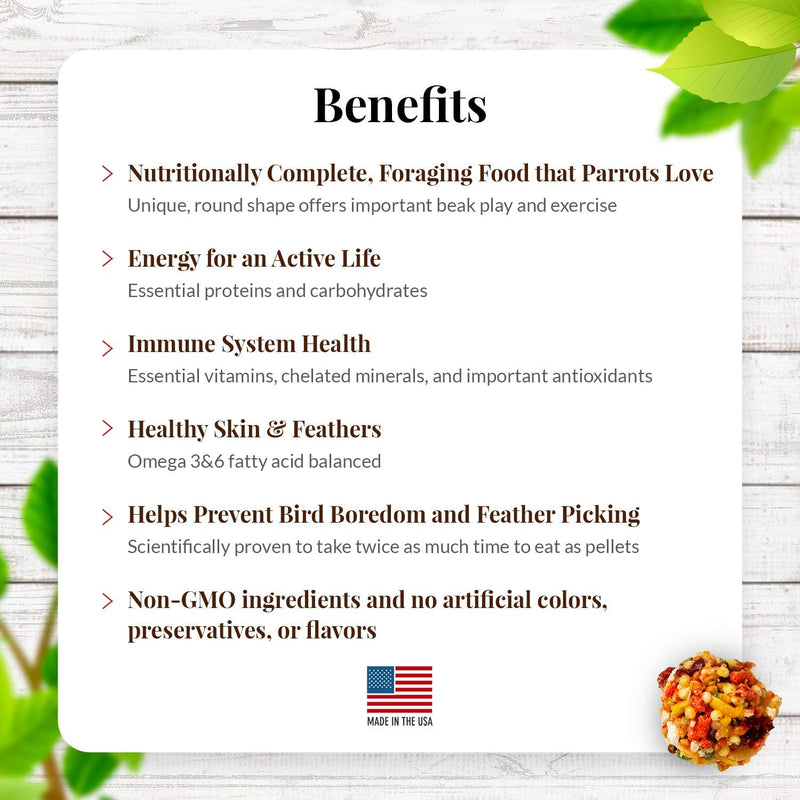 Lafeber's Sunny Orchard Gourmet Nutri-Berries for Parrots - Exotic Wings and Pet Things
