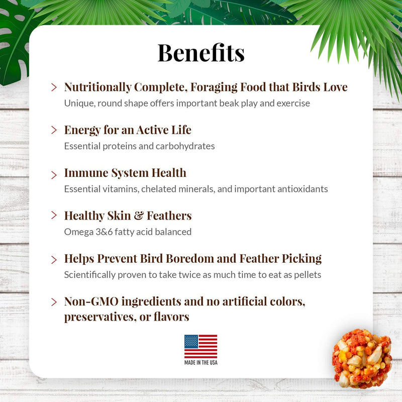 Lafeber's Tropical Fruit Gourmet Nutri-Berries for Small Birds 10oz - Exotic Wings and Pet Things