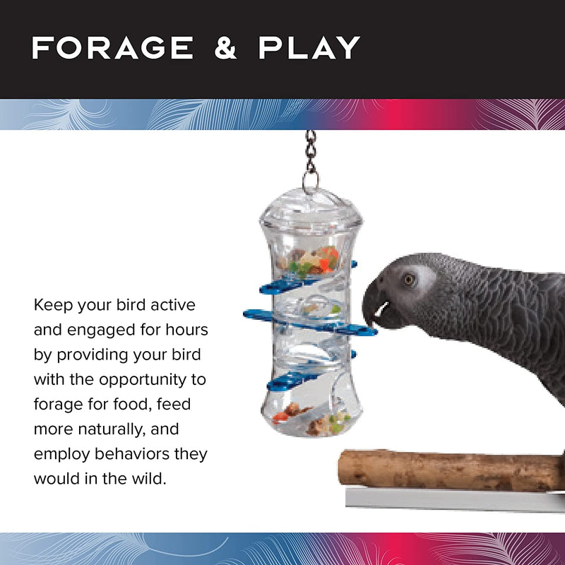 Push & Pull Puzzle Large Parrot Toy