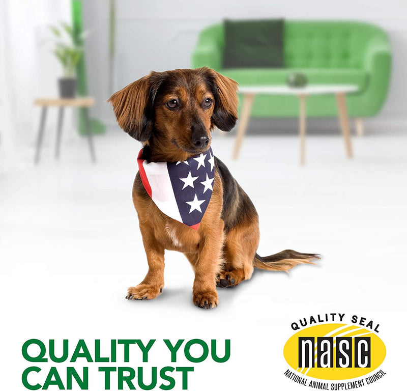Comfort Calming Dog Soft Chews
