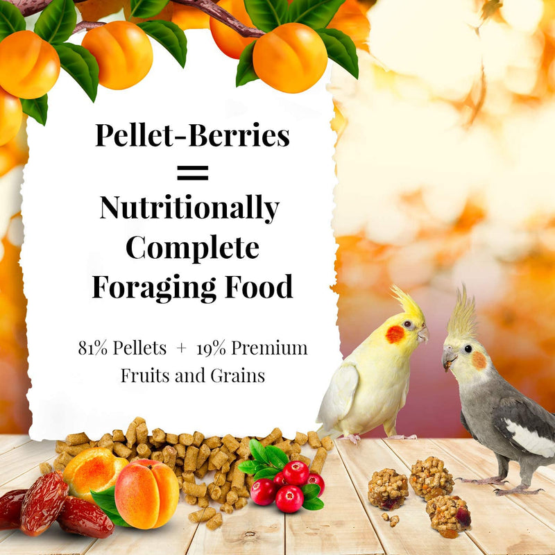 Lafeber's Sunny Orchard Pellet-Berries Cockatiel/Conure
