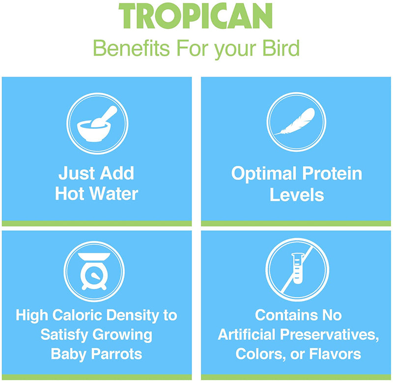 Tropican Hand-Feeding Formula For All Birds - Exotic Wings and Pet Things