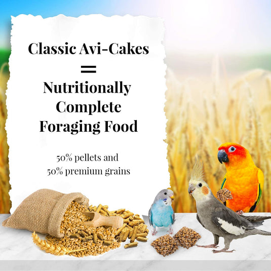Lafeber's Classic Avi-Cakes for Small Birds - Exotic Wings and Pet Things