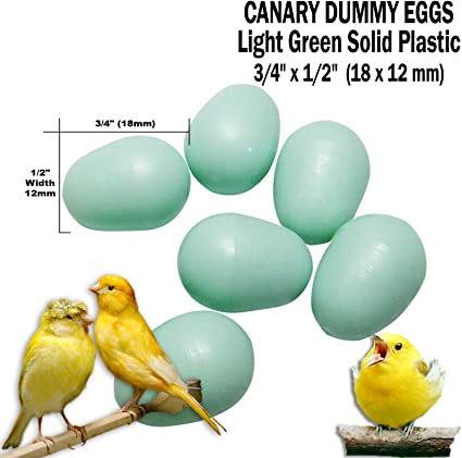2GR Fake Dummy Training Bird Eggs - Canaries/Parrot/Parakeet/Macaws/Pigeon/Hen