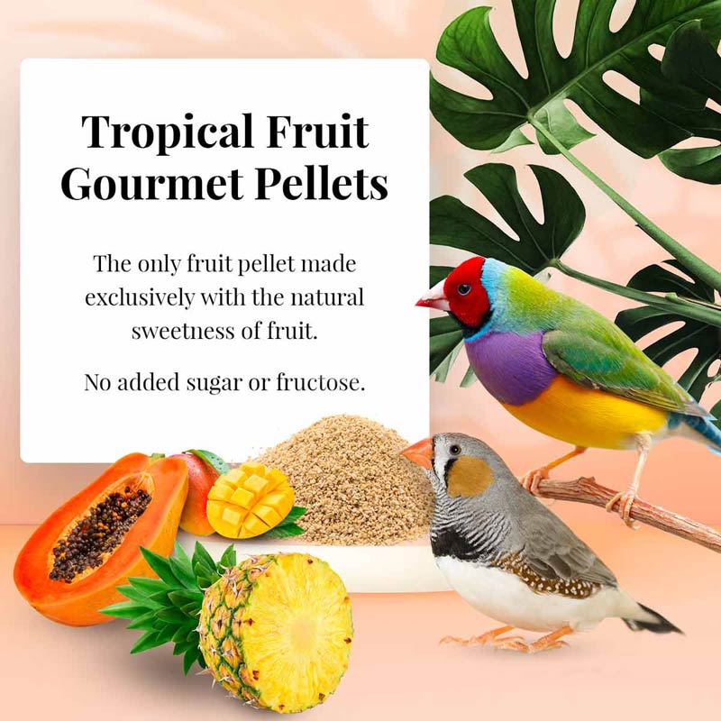 Lafeber's Tropical Fruit Gourmet Finch Pellet