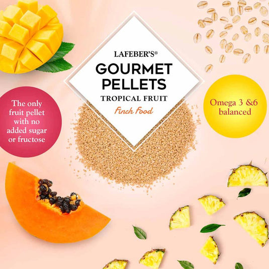 Lafeber's Tropical Fruit Gourmet Finch Pellet
