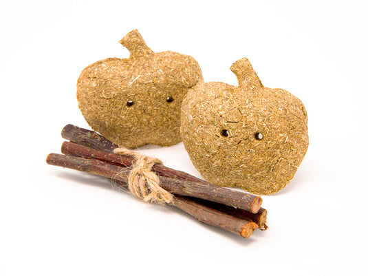 Oxbow Enriched Life Timmy Apple & Stix - Exotic Wings and Pet Things