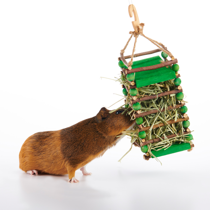 Oxbow Enriched Life Apple Stick Hay Feeder

