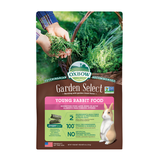 Rabbit food store store
