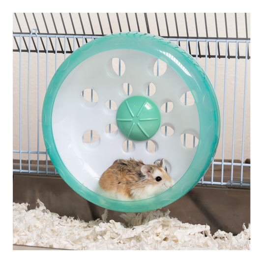 Oxbow Enriched Life Attachable Quiet Wheel
