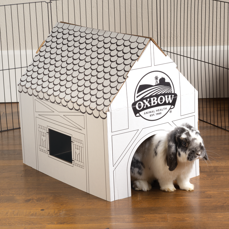 Oxbow Enriched Life Design Your Own Hideaway House
