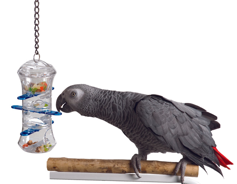 Featherland Paradise Push & Pull - Exotic Wings and Pet Things
