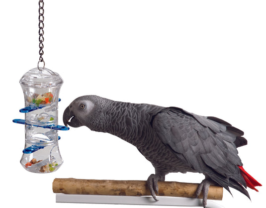 Featherland Paradise Push & Pull - Exotic Wings and Pet Things