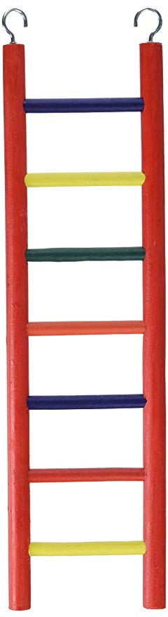 Prevue Hendryx Carpenter Creations Ladder - Exotic Wings and Pet Things
