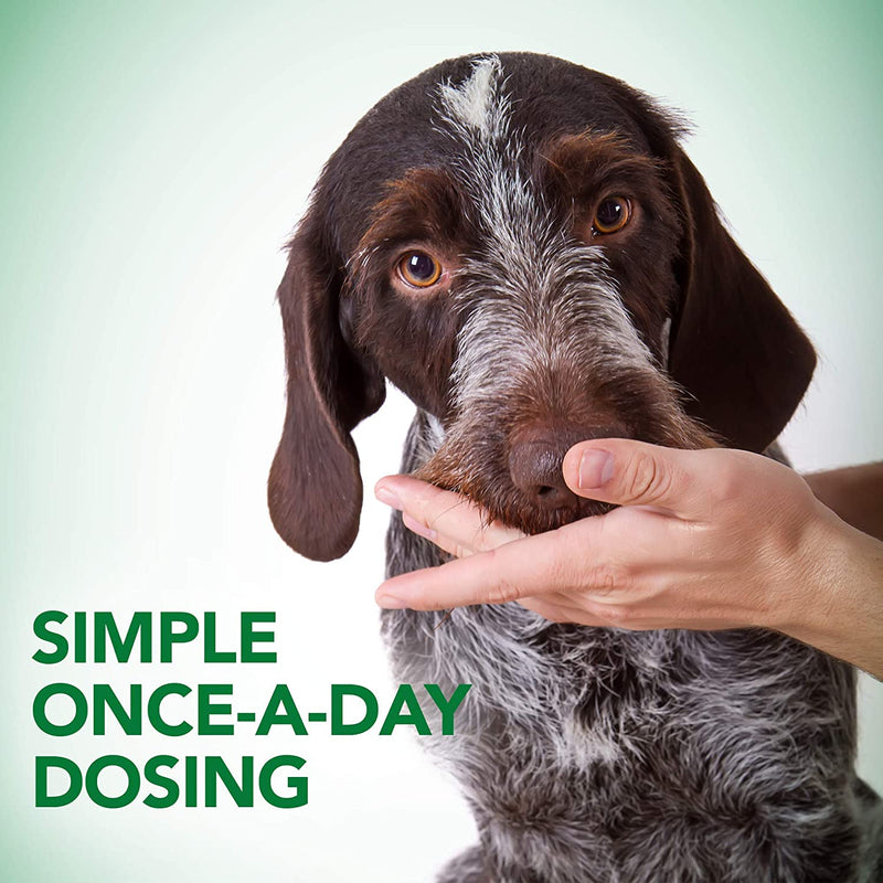 Advanced Hip & Joint Dog Soft Chews

