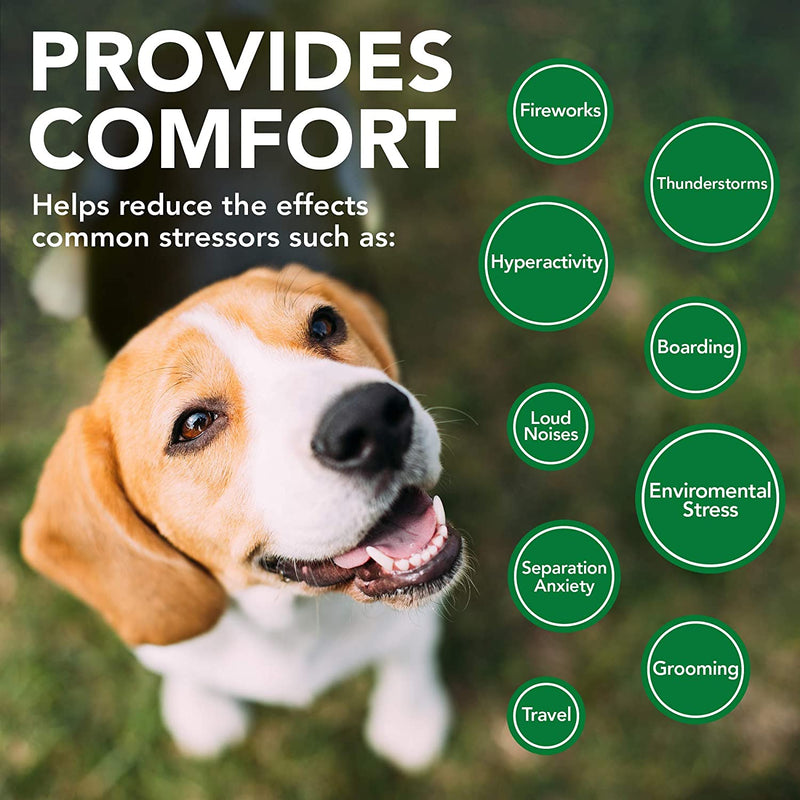Comfort Calm Supplements for Dogs