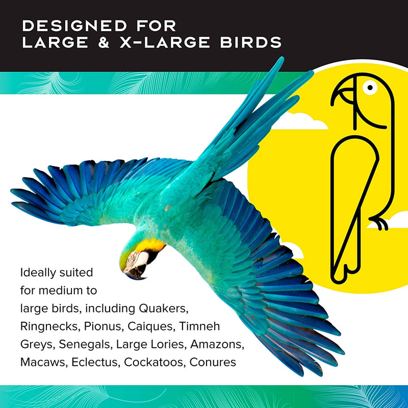 RE + Enforcement Foraging Wheel Creative Systems Large Parrot Toy - 00613

