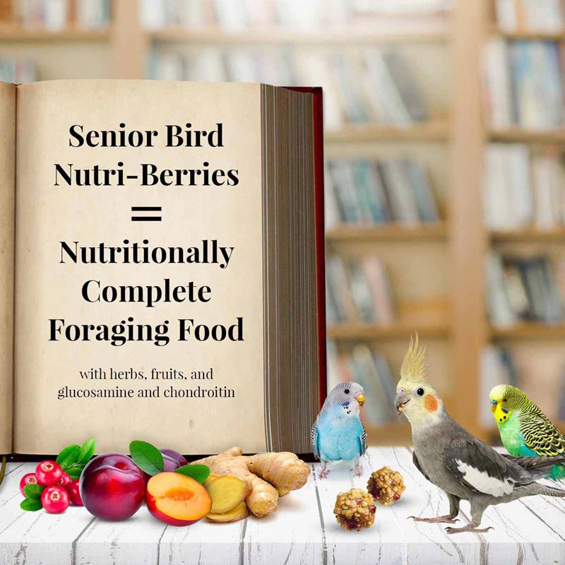 Lafeber's Senior Blend Nutri-Berries Parakeet/Cockatiel
