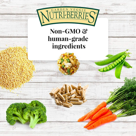 Lafeber's Garden Veggie Gourmet Nutri-Berries for Parrots - Exotic Wings and Pet Things